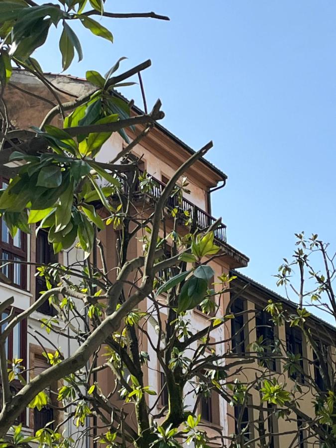 Appartamento Wamba - La Catedral Oviedo